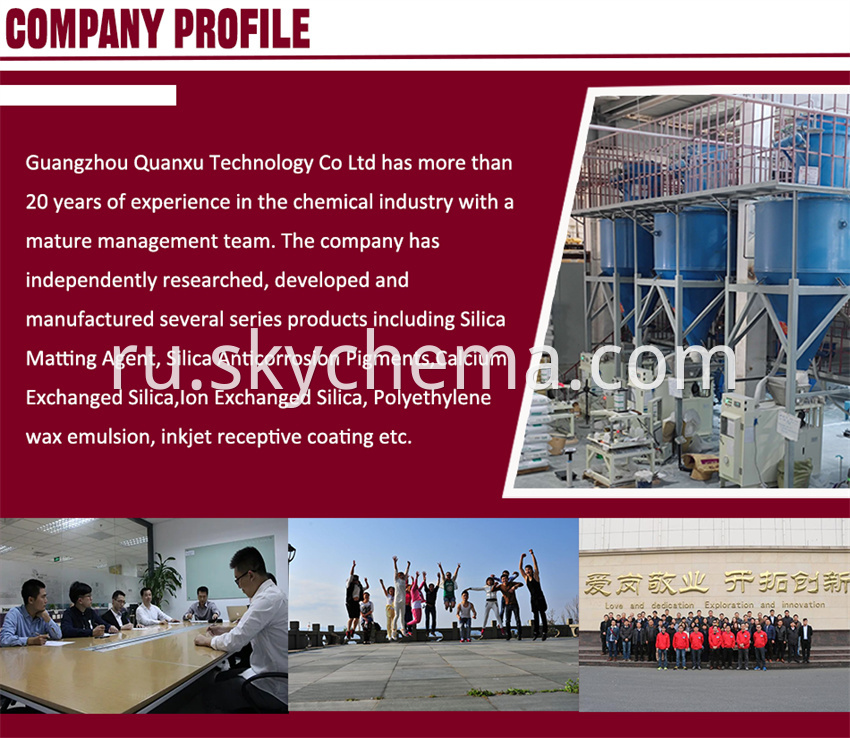 Company Profile